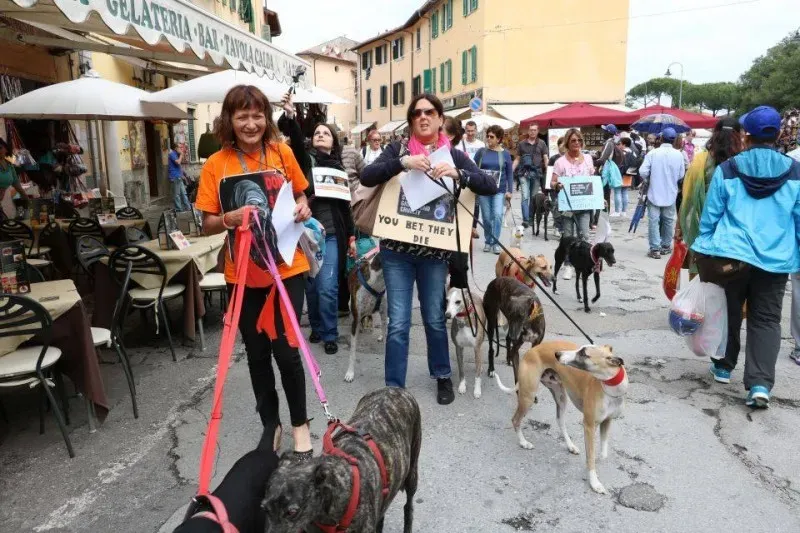 13406825 1040683952682126 3022429590133004142 n