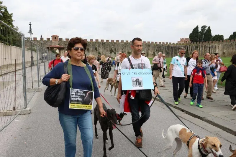 13406825 1040684999348688 4825422865564125246 n