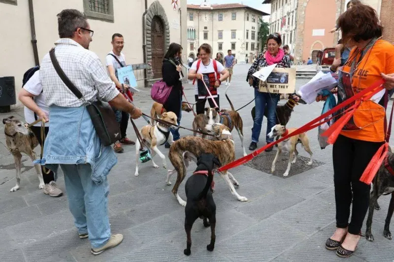 13406885 1040698252680696 5145497603517910649 n