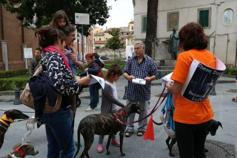 13406916 1040698066014048 8432889406590368661 n