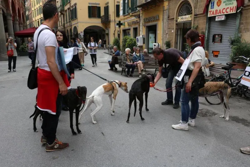 13407033 1040698686013986 8880829244573145402 n