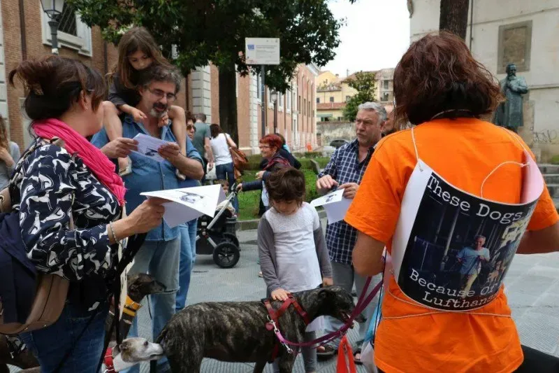 13407120 1040698199347368 8075998859023379297 n