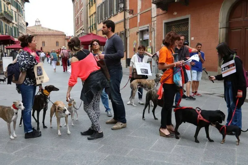 13407161 1040694229347765 5019127323236431793 n