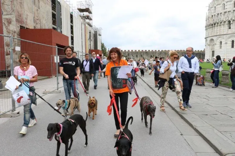 13407214 1040689492681572 2417912419771331466 n