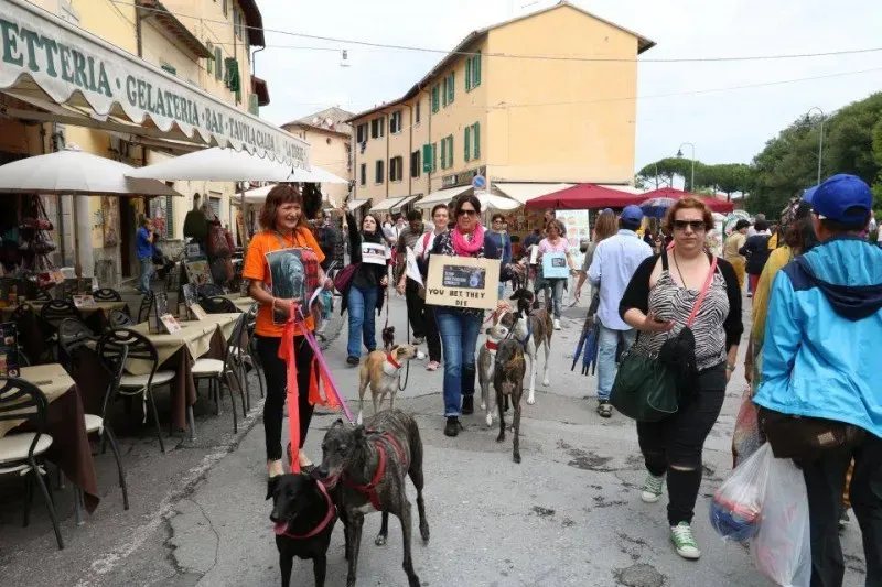 13407265 1040683916015463 8957339763823679746 n