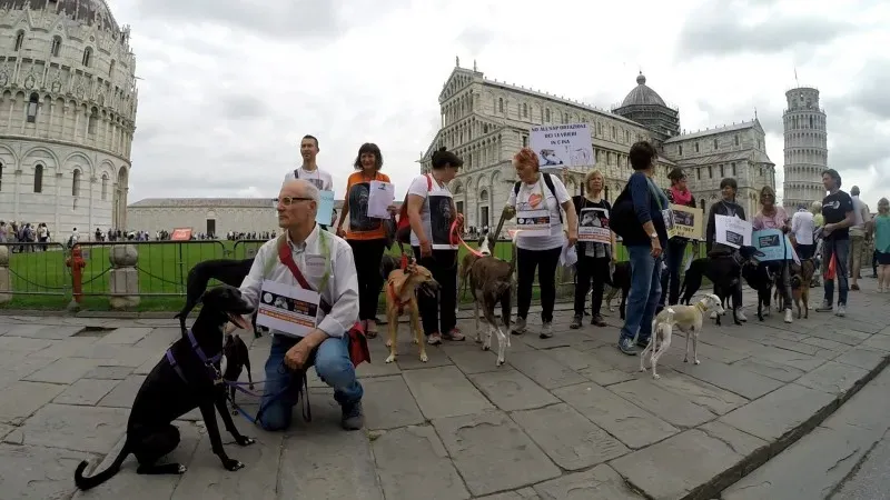 13411642 1040683296015525 716389939820026455 o