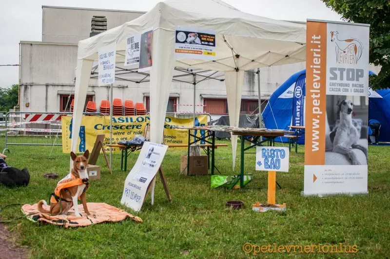 13411651 10208730077716687 4046142337784049165 o