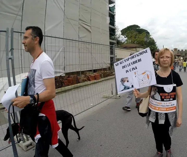 13411675 1040684666015388 8006717266852974286 o