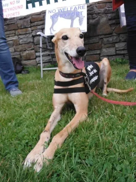 13411961 10154268123488249 5804042884792146991 o