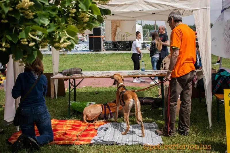 13411968 10208730080516757 6504551643575316861 o