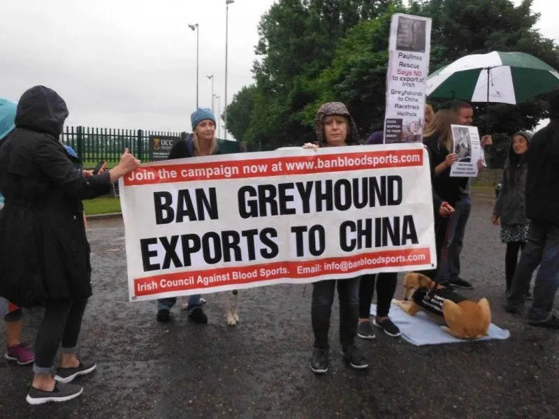 13411972 10154268126008249 2154846173948091832 o