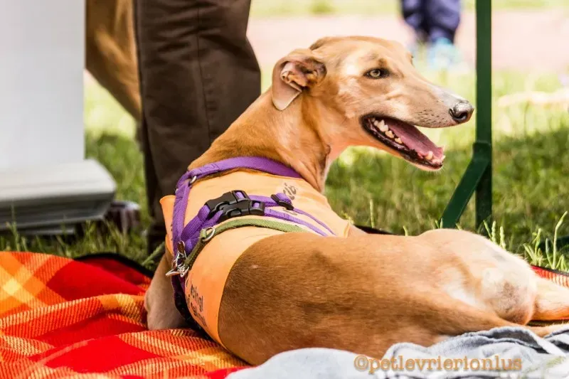 13412113 10208730073836590 3384192566571511189 o