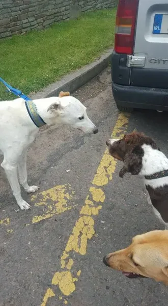 13413039 10208439698323576 8693567842765122879 n