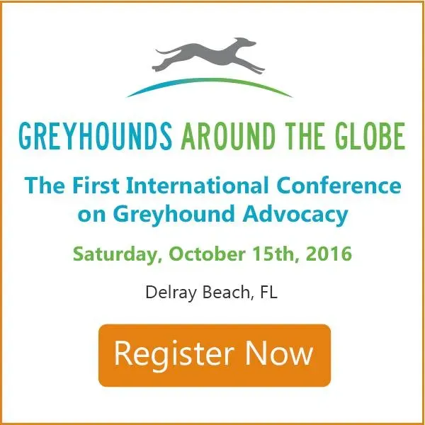 13413097 10153907523307182 540269363561003741 n