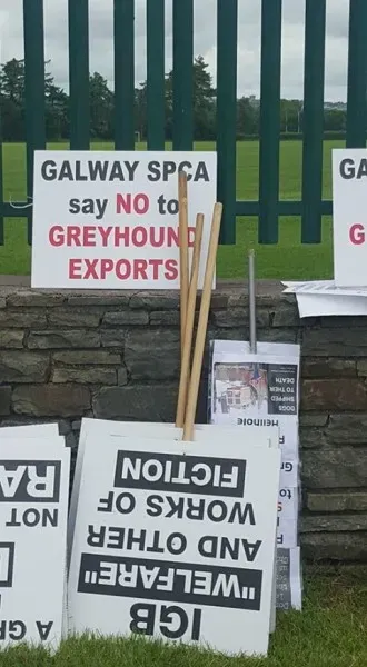 13413611 10208439694883490 4368453886569292516 n