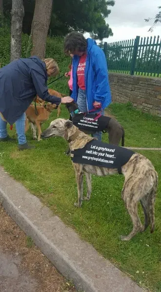 13413732 10208439707803813 7279002529797916657 n