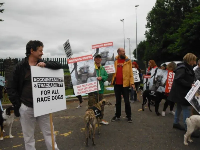 13415397 10154268124033249 36325696845629397 o