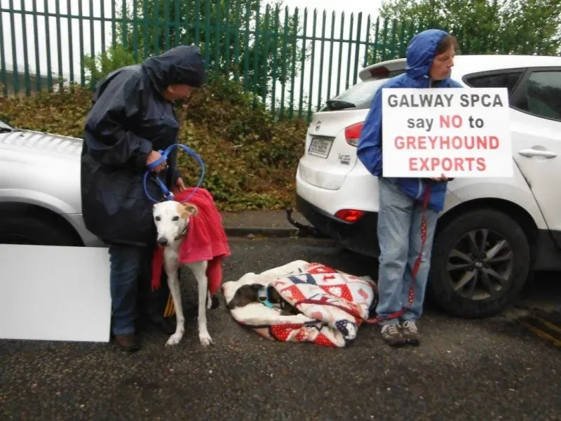 13415449 10154268126678249 8352912569516052035 o