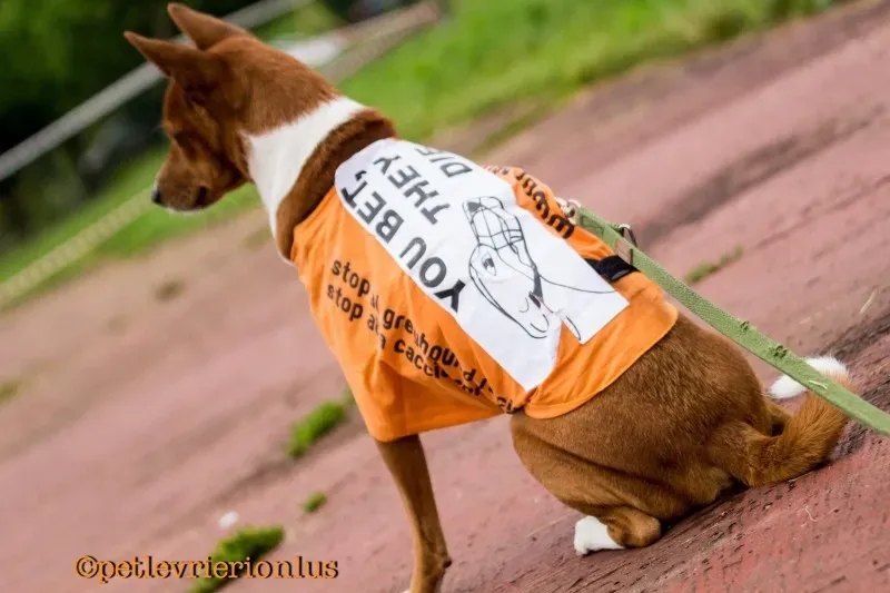 13415449 10208730069916492 7706535311161672581 o