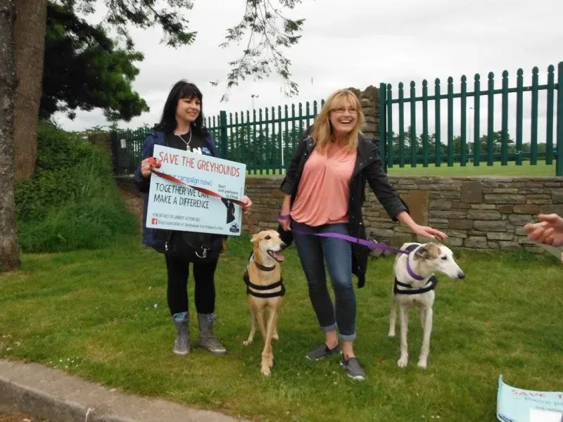 13415464 10154268124363249 4479905520327422732 o