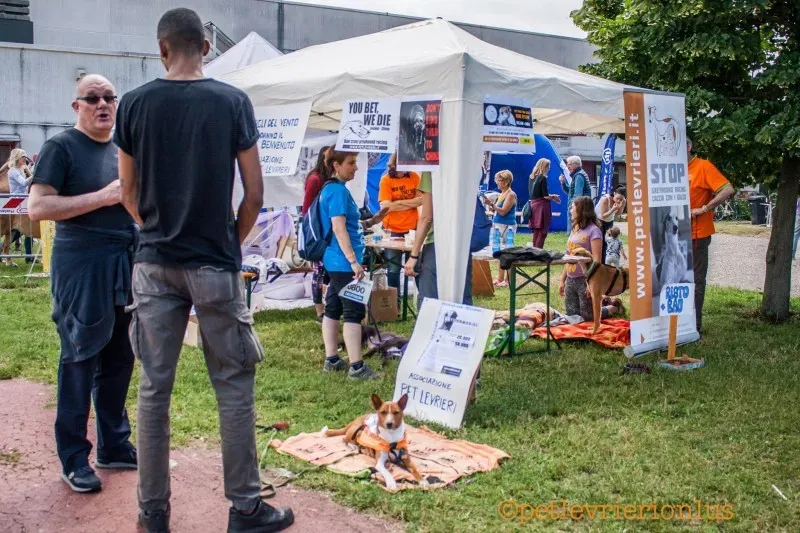 13415590 10208730082276801 1194902364341912771 o