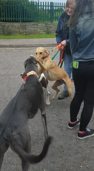 13417463 10208439698043569 6135445989956292932 n