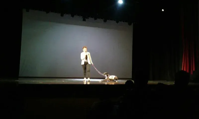 13417616 591539824361952 7561775412032241865 n