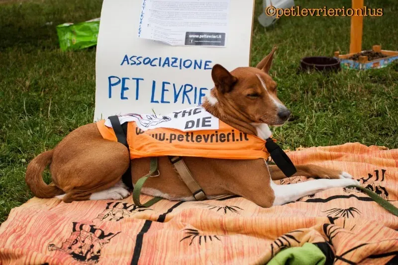 13418596 10208730078476706 3170802613014368614 o