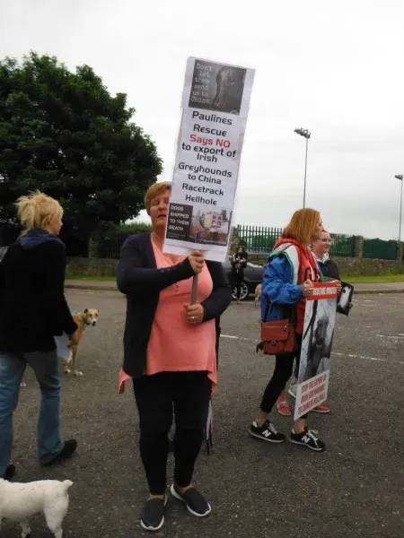 13418675 10154268124528249 8003107861891602091 o