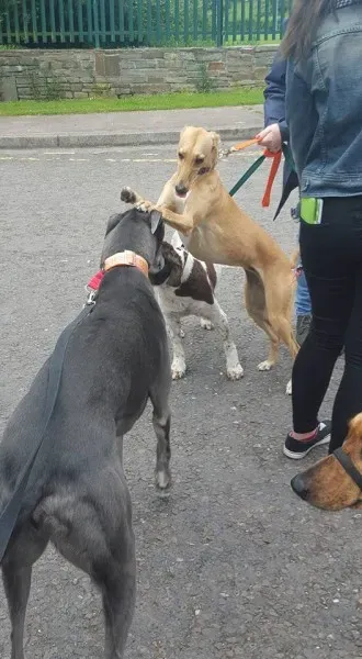 13418753 10208439697523556 3924354375262749496 n