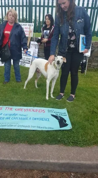 13419084 10208439709243849 7703784055345602537 n