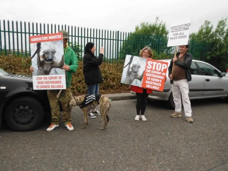 13422278 10154268124388249 7855092269795938125 o