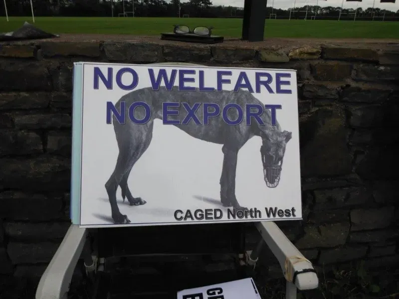 13422284 10154268122018249 7261103905032768389 o