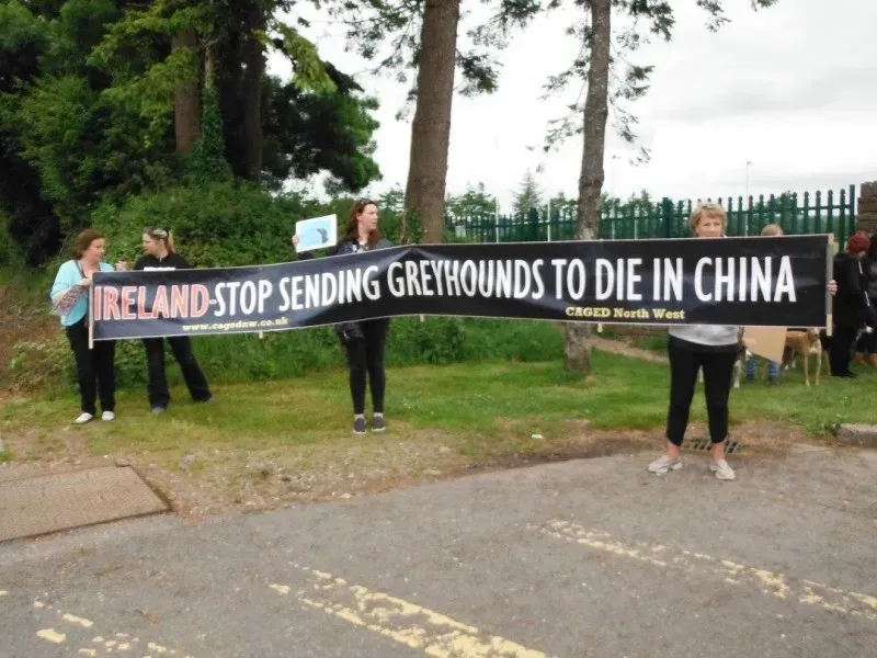 13422294 10154268123928249 9143067586468029204 o