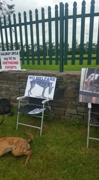 13423707 10208439700483630 5283559910014383331 n