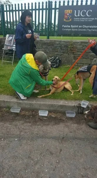 13428505 10208439700083620 1221749053046096184 n