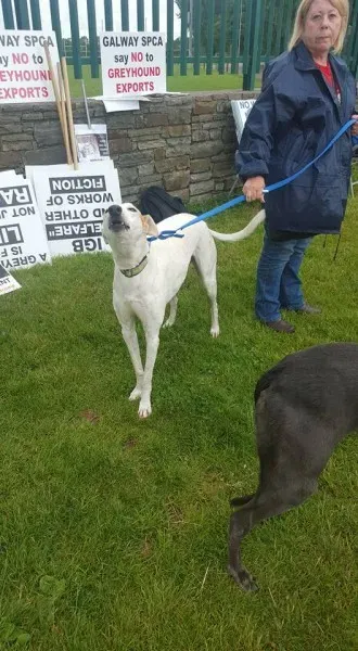 13432352 10208439701643659 8004380276166212462 n