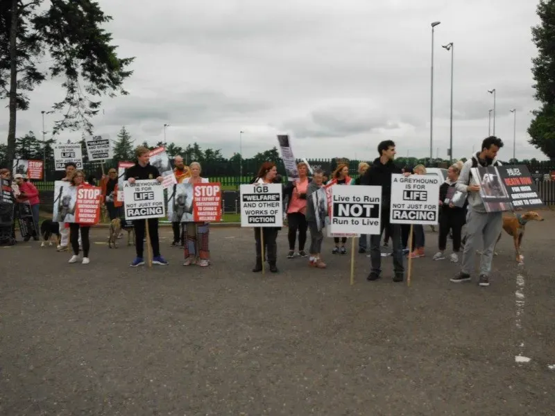 13433066 10154268124093249 8710675774853071349 o