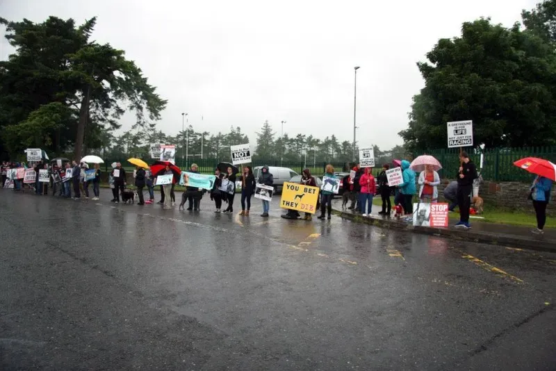 13433253 1310514615644571 826658741469121578 o