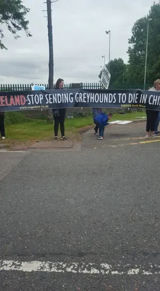 13435333 10208439713763962 5398011649662405018 n