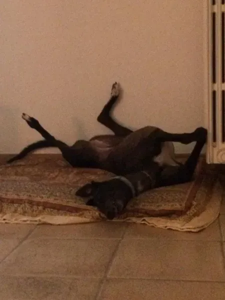 13438899 527034414164015 1152552565106654336 n