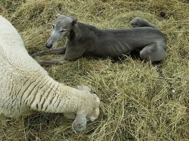 13438989 1724610194464333 2319894979027004433 n