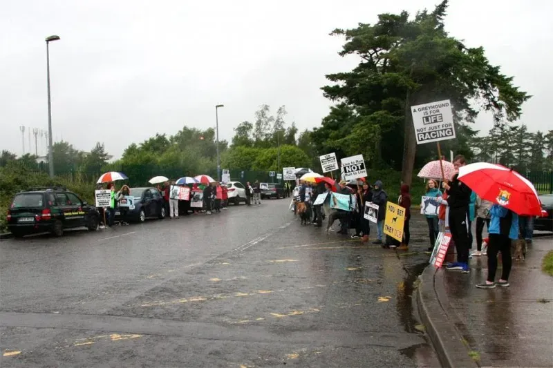 13442603 1310514878977878 3031669513999917900 o