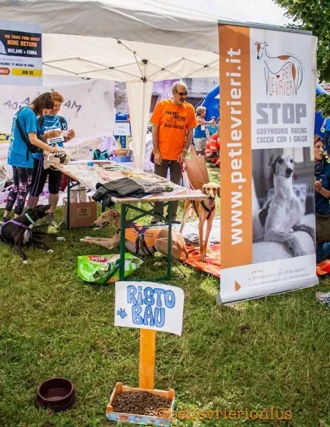 13443115 10208730082556808 8906072408389393835 o