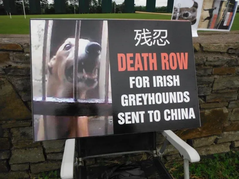 13443179 10154268122033249 6805119717745755278 o