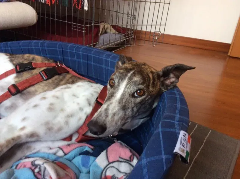 13445244 10210125535683178 3520570068570436694 n