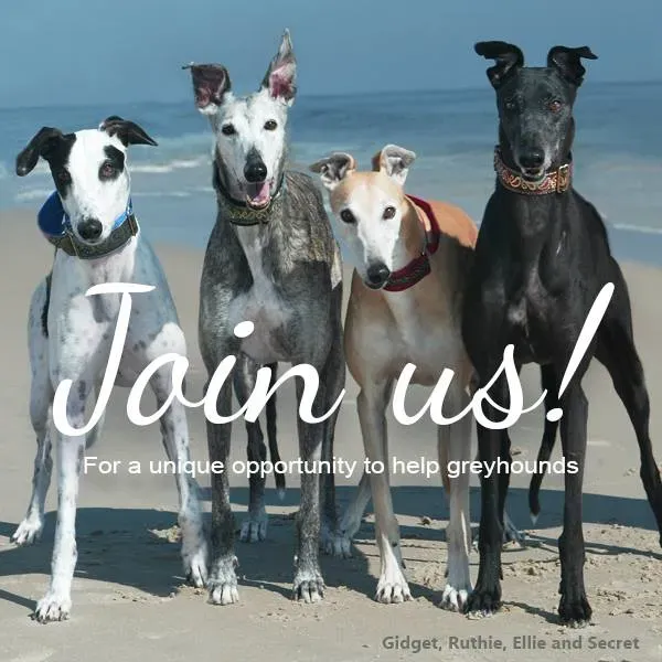 13450795 10153907523332182 6195741266343877534 n