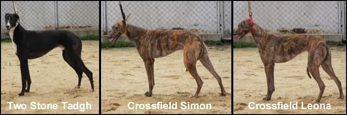 13466083 993369647445260 1678963694140617425 n