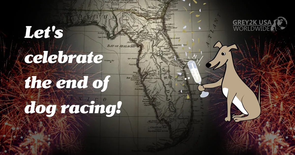 134726938 10158318636217182 4586812669567944470 o