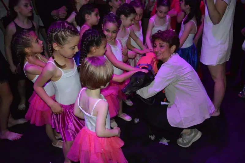 13475050 591883230994278 9020178313918930899 o